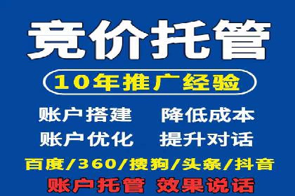 某公司SEO与SEM整合营销的全程记录